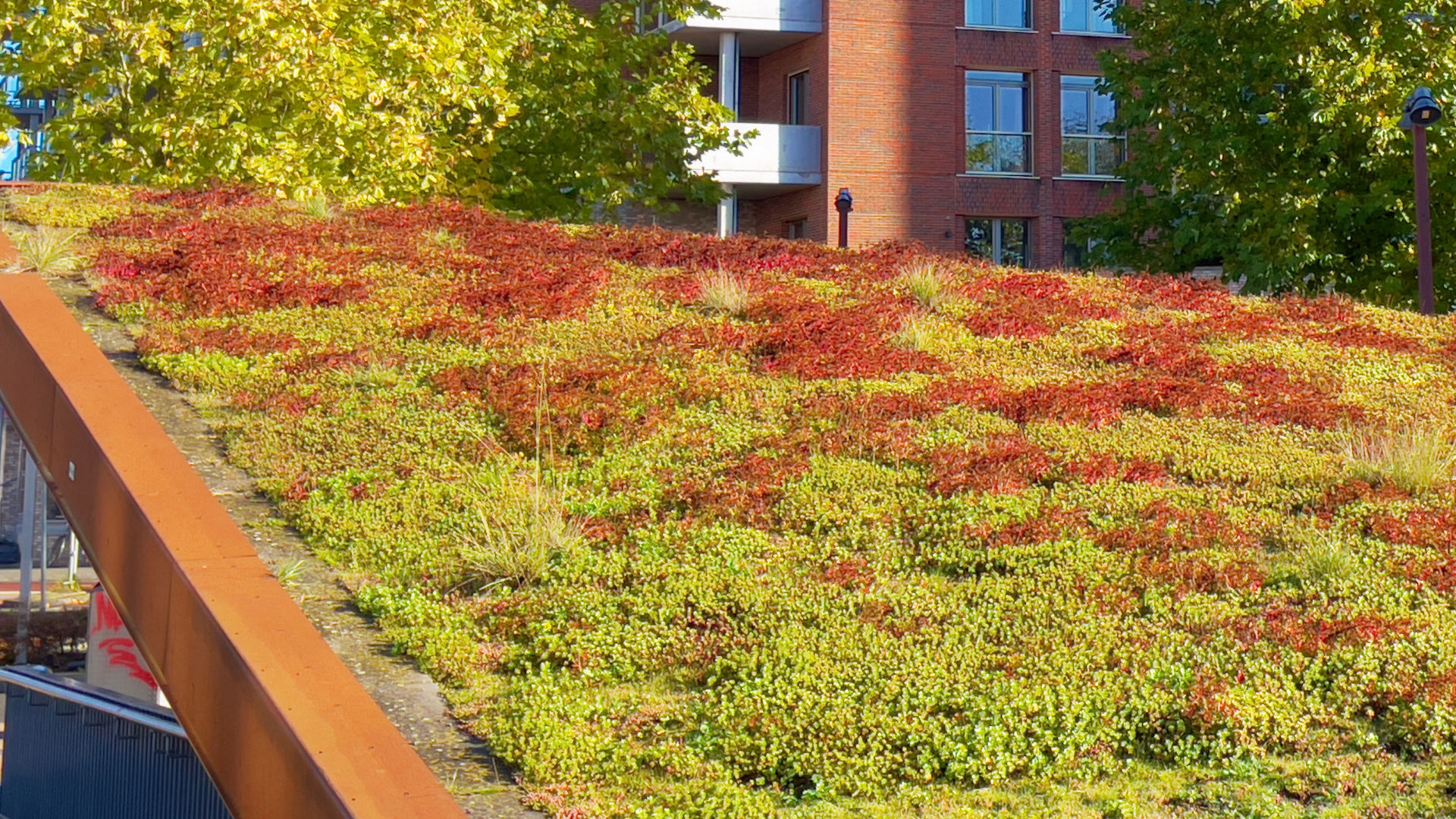 Sloped green roof