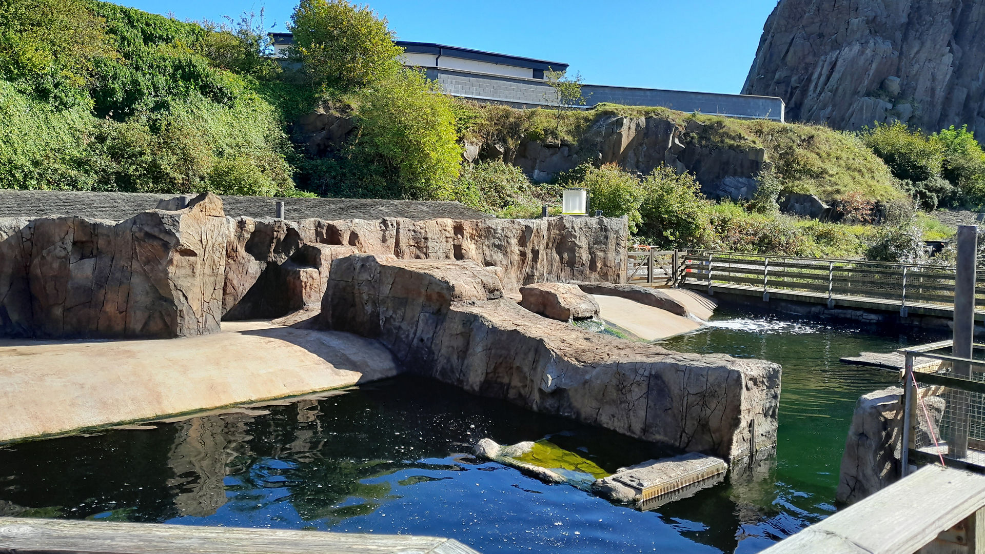 deep sea world