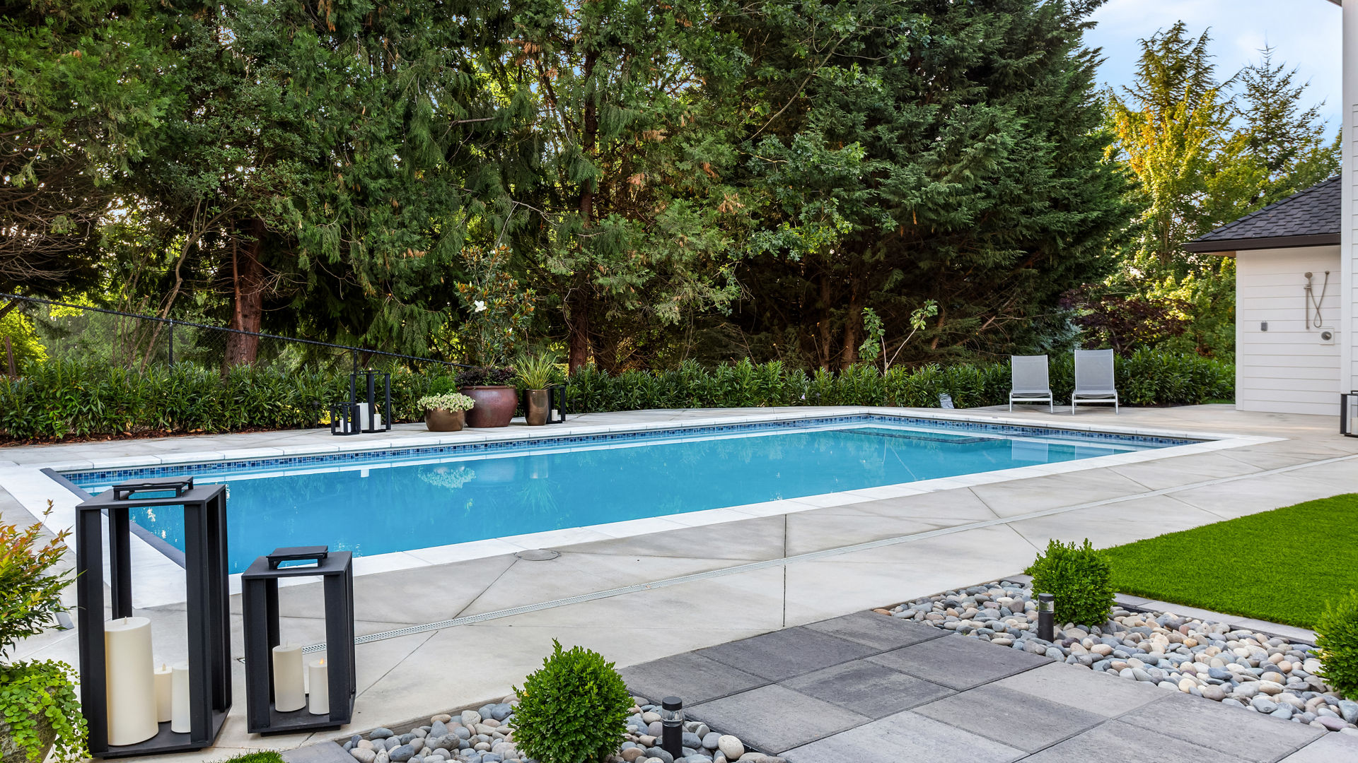Modern backyard pool with lush greenery