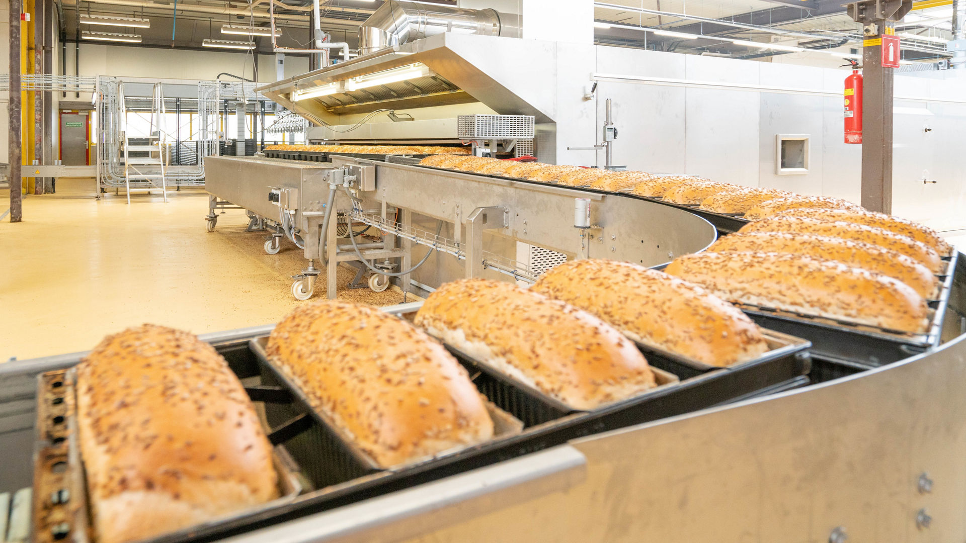 F&B Factories