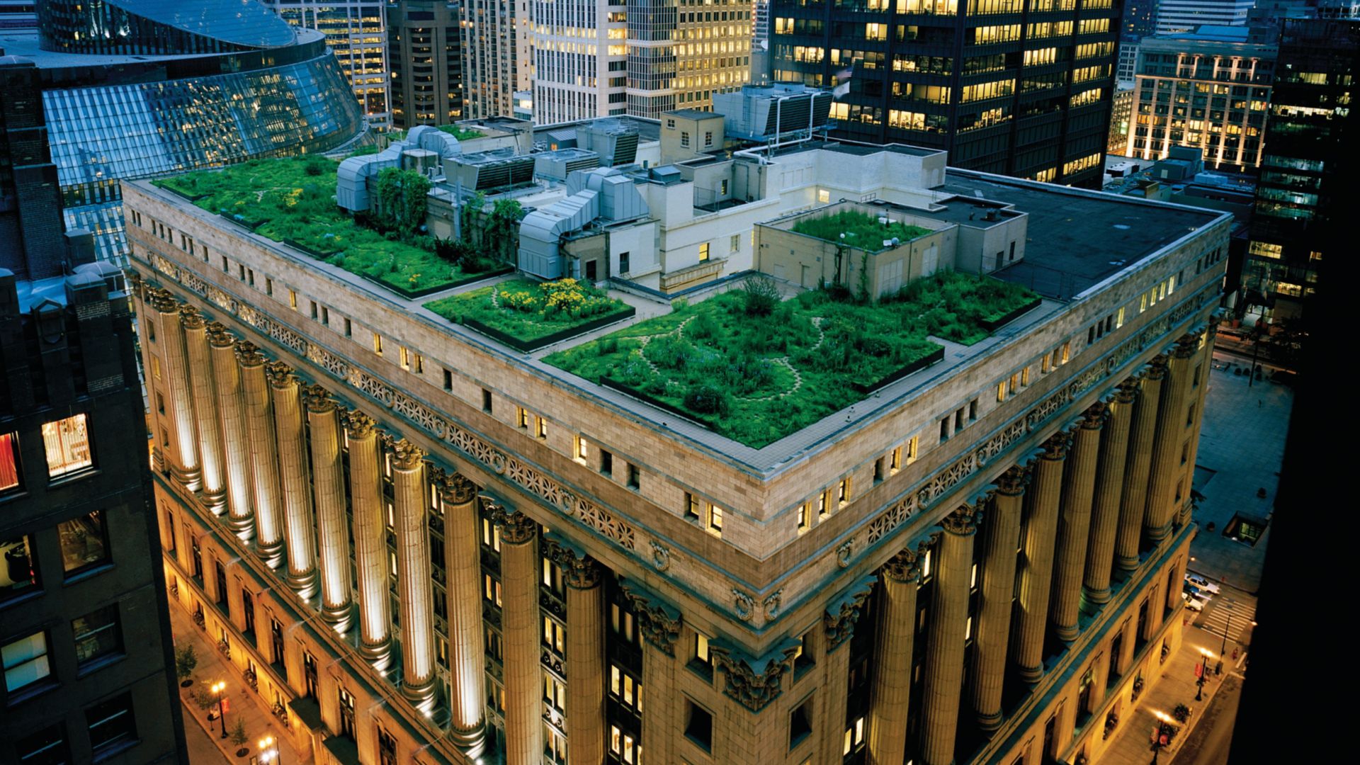 Green roof with single-ply membrane installed on Chicago City Hall